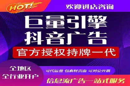 跨行业SEM广告投放的多样化案例分析